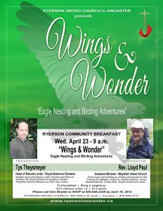 Wings & Wonder Flyer Image